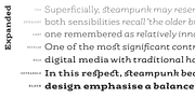 Rogliano Pro, a Slab Serif Font by Untype (Thumbnail 26 of 26)