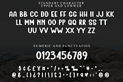 Summer Active, a Serif Font by FreshTypeINK (Thumbnail 2 of 8)