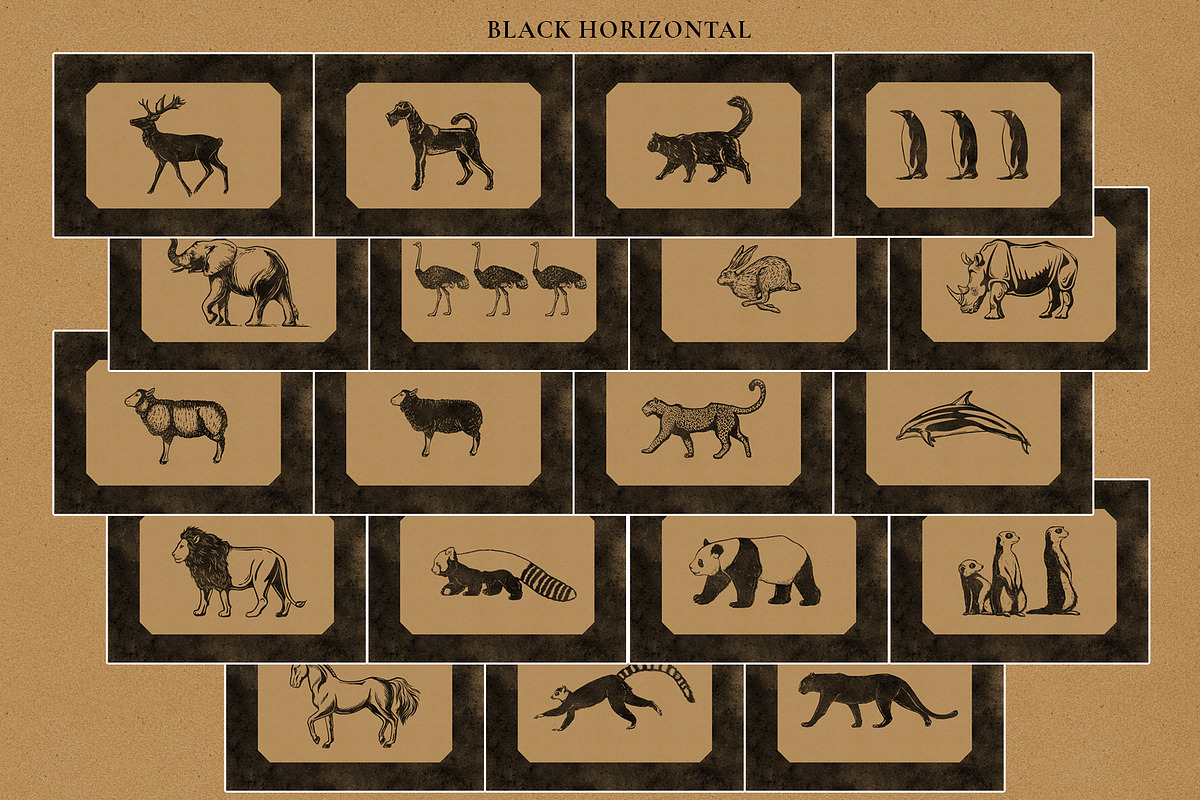 Colonial style Animals posters, an Animal Illustration by Garden in frame (Photo 6 of 11)