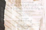 Justhin - Monoline Script Font, a Script Font by StringLabs (Thumbnail 6 of 7)