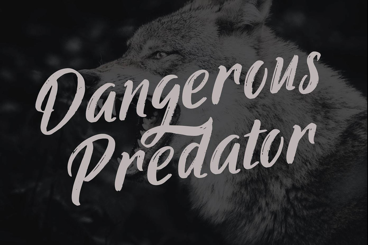 Ringtrack - Rough Brush Fonts, a Script Font by Patria Ari (P4tcreativa) (Photo 10 of 10)