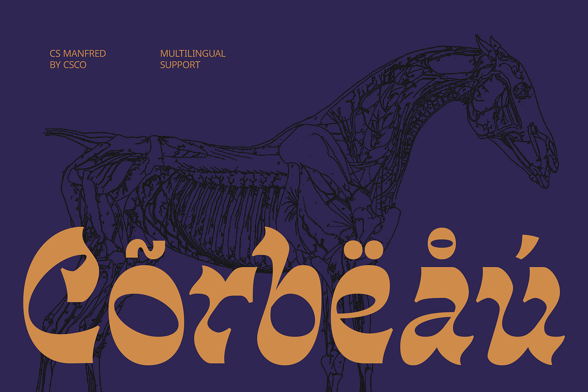 CS Manfred – Reverse Contrast Font, a Serif Font by Craft Supply Co. (Photo 5 of 8)