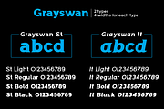 Grayswan font family, a Serif Font by vlad.berla (Thumbnail 4 of 8)