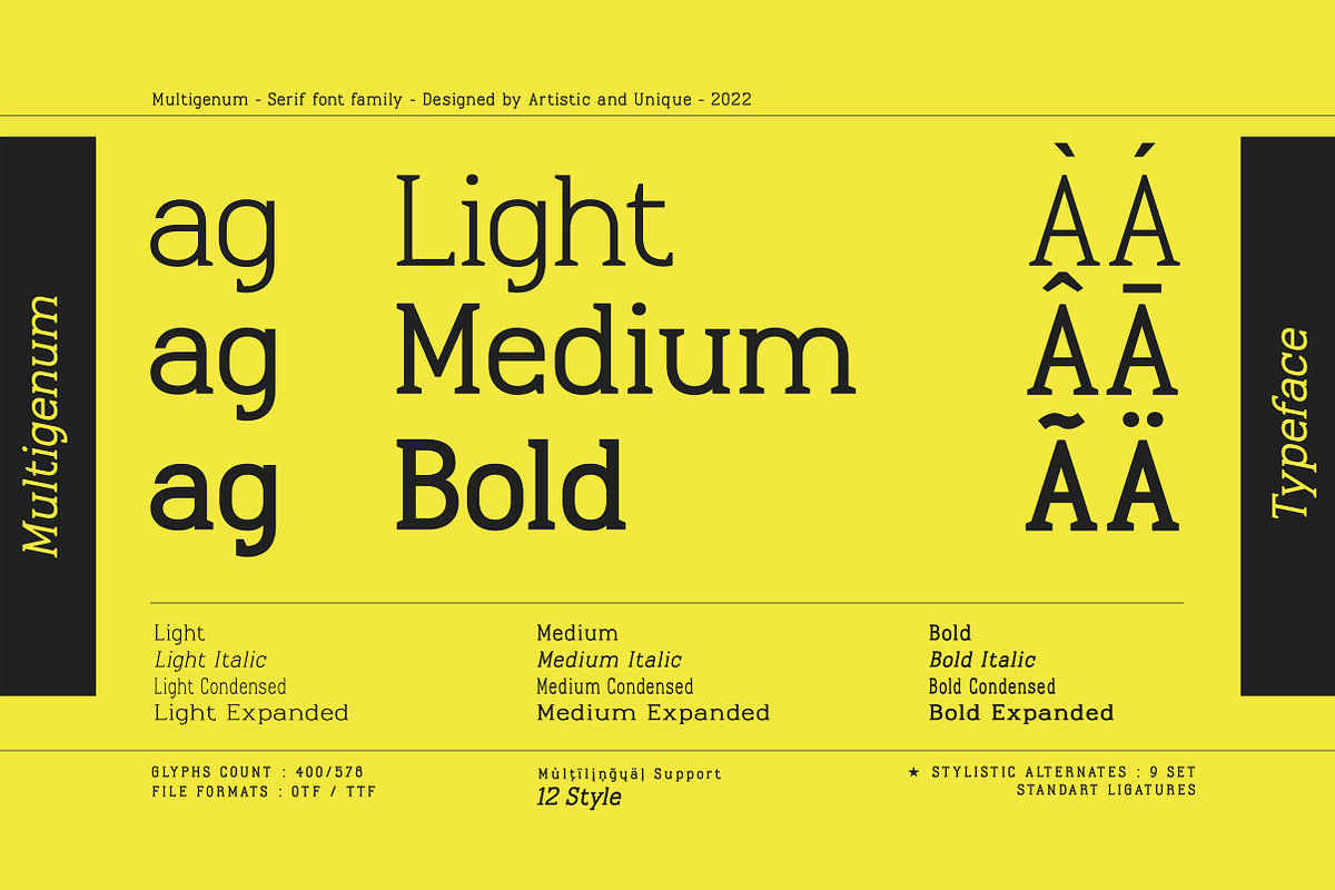 Multigenum - Serif font family, a Serif Font by Artistic & Unique (Photo 2 of 15)