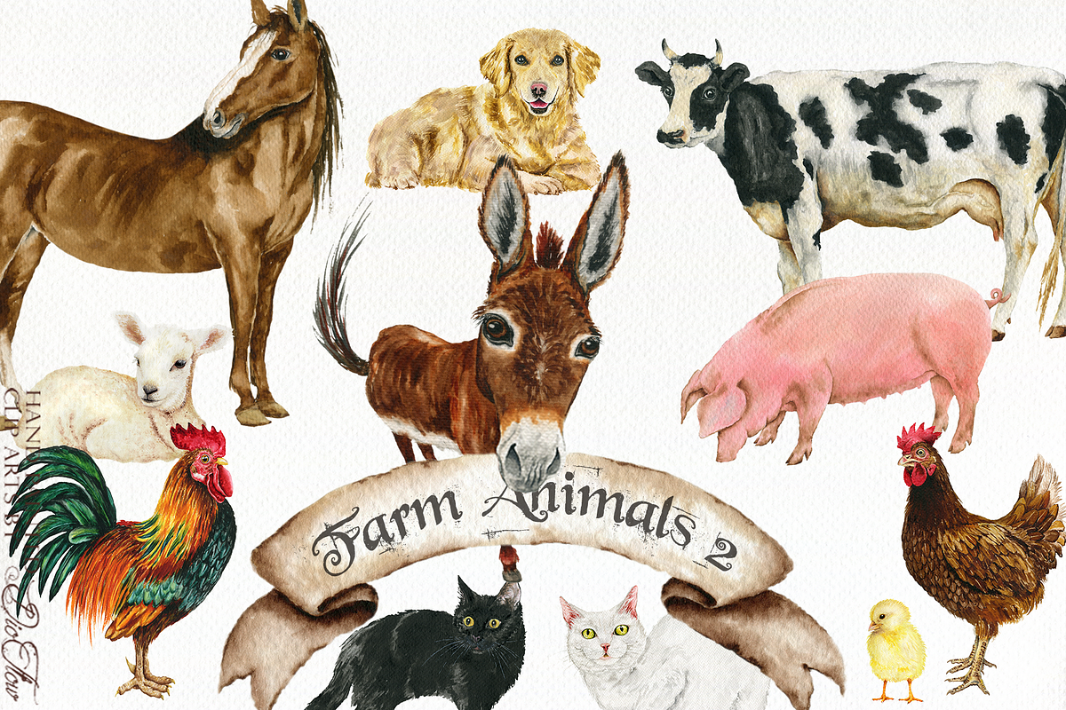 Farm Animals 1-2 Illustrations, a Decorative Illustration by DioFlow (Photo 3 of 4)