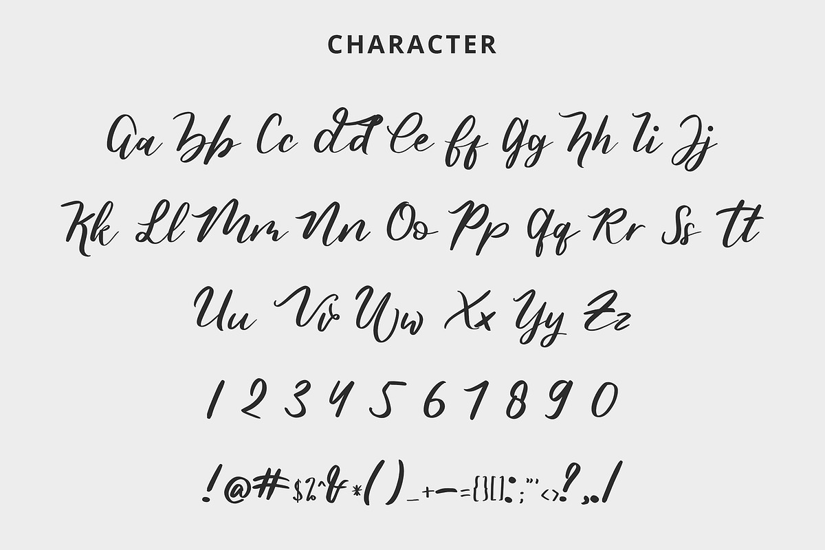 Butterfly Modern Script Font preview 7