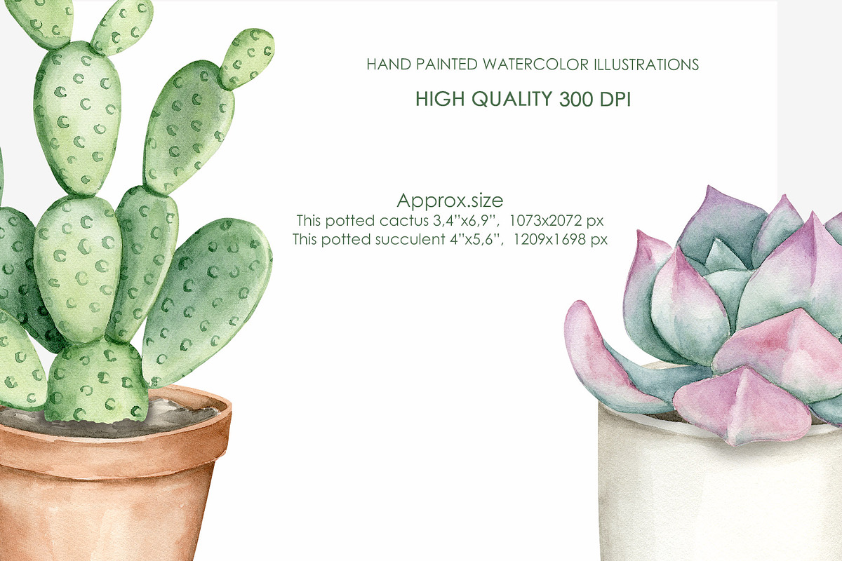 Watercolor cactus clipart, a Decorative Illustration by AquarelleSpace (Photo 5 of 5)