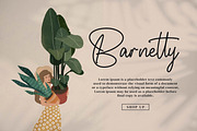 Whitteney, a Script Font by Integritype Studio (Thumbnail 2 of 15)
