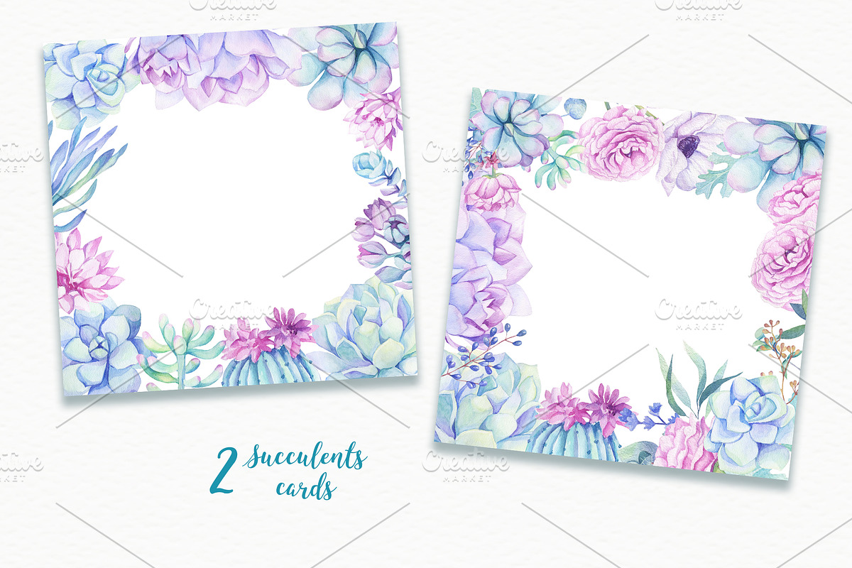 SALE! Succulents & Cactuses, an Illustration by Irina Diasli (Photo 7 of 8)