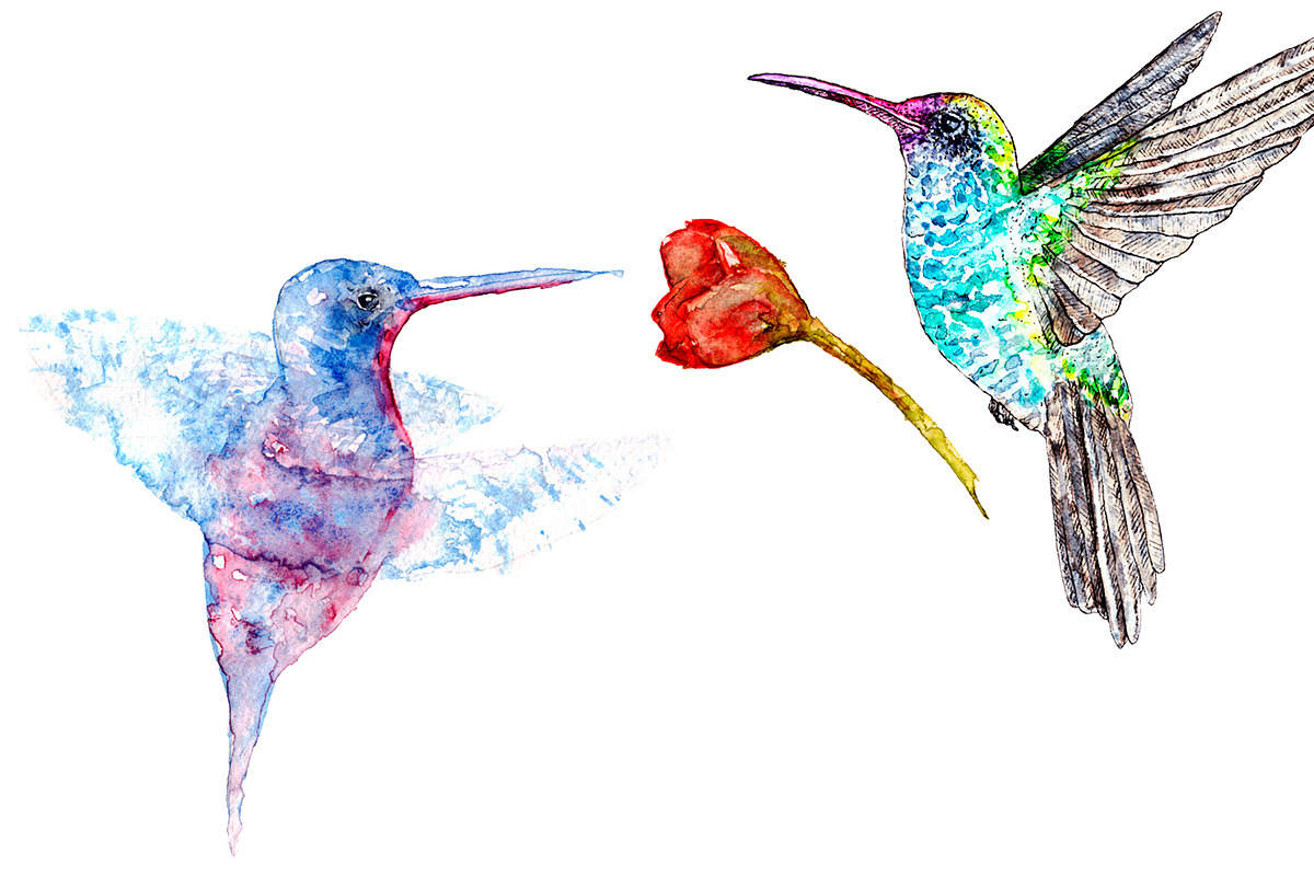 Bundle offer of watercolors, an Animal Illustration by Watercolor_Vector Graphic (Photo 7 of 27)