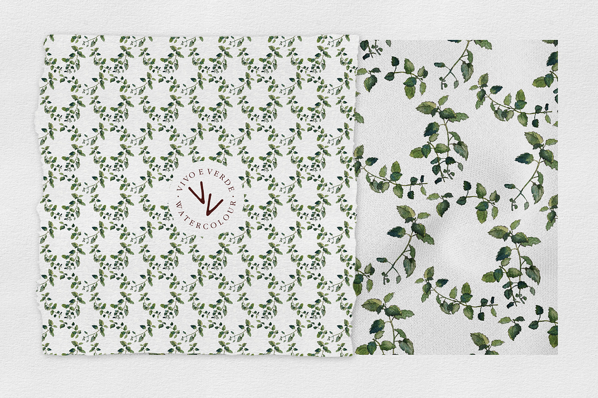 Melissa: watercolor floral elements, an Illustration by vivo e verde (Photo 6 of 11)