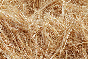 Close-up of dry straw and hay, a Background Photo by AlyaAnd