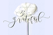 Be Grateful Script, a Script Font by Dirtyline Studio (Thumbnail 1 of 11)