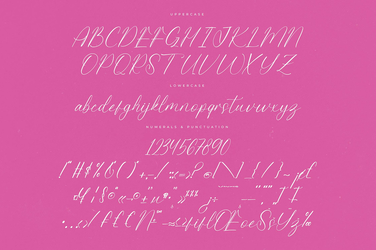 Petalip Orchid Modern Freestyle, a Script Font by Letterena Studios Script (Photo 13 of 15)