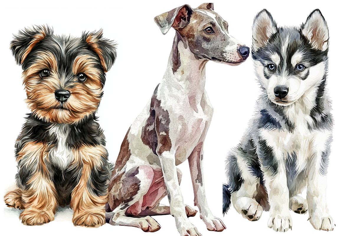 Watercolor Puppies Clipart, an Animal Illustration by PrintHaven Designs (Photo 9 of 10)