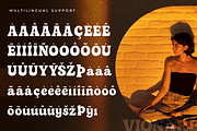Vionare - Modern Serif Font, a Serif Font by overlaytemplates (Thumbnail 5 of 5)