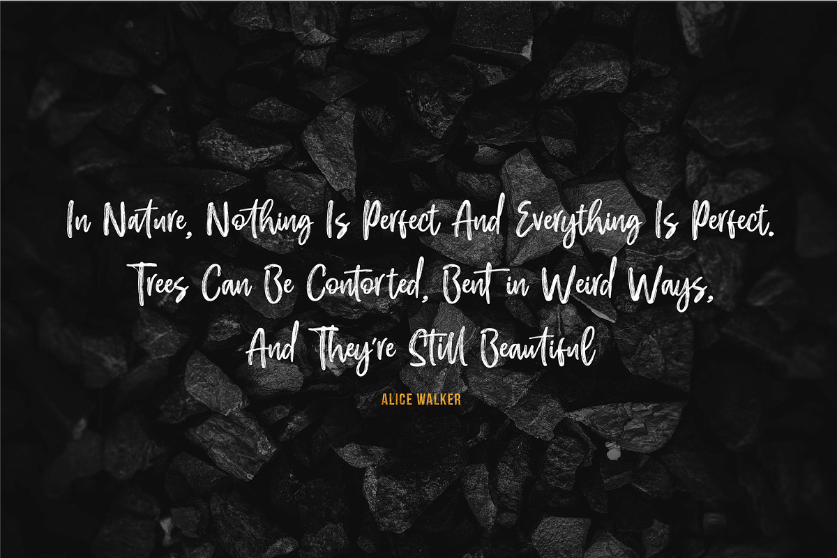 EFRISILLA - Handbrush Script preview 6