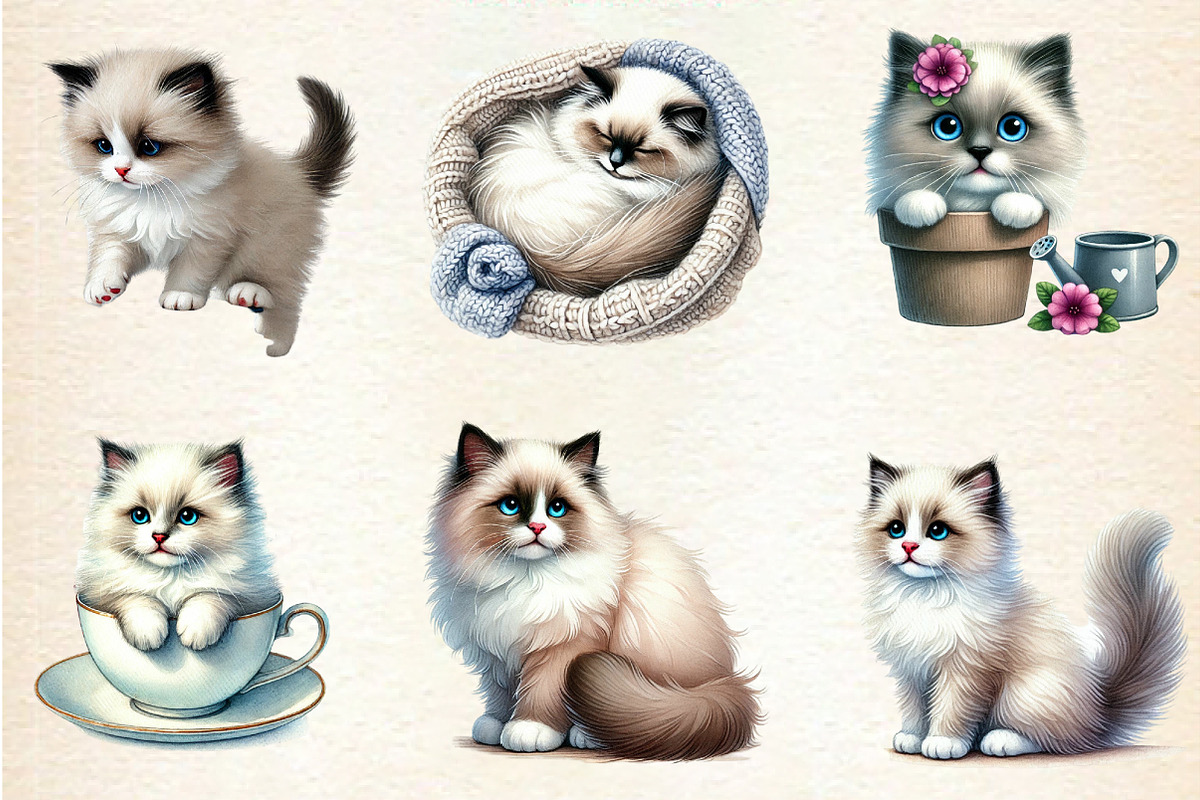 Watercolor Ragdoll Cat Sublimation, a Seasonal Illustration by DreamArtGraphic (Photo 4 of 5)