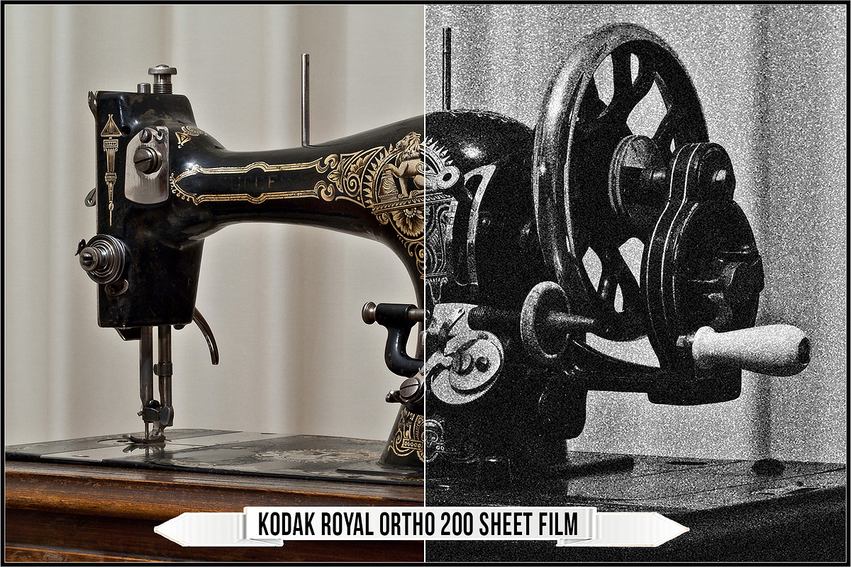Eastman Kodak Black and White Films, a Plug-in Add-On by Raztrend (Photo 6 of 30)
