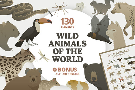 Big Collection Of Wild Animals