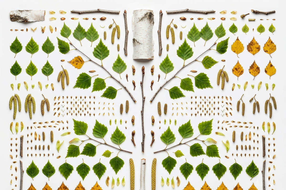 3 Botanical Knolling Elements Pack, an Education Illustration by StockVerse Creative (Photo 3 of 4)