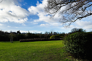 Sunny winter park with green lawn and bare oak branches framing blue sky in res, a Photo by AS photostudio