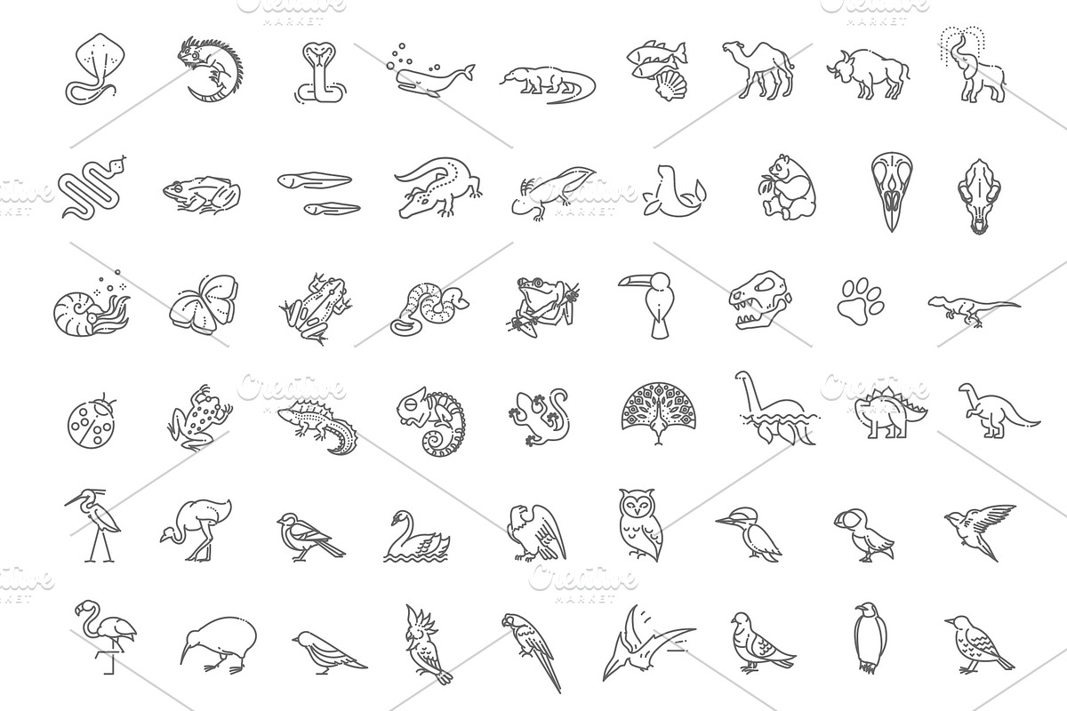Animal icons. Vector icon set, an Outline Icon by Tettygreen (Photo 2 of 3)