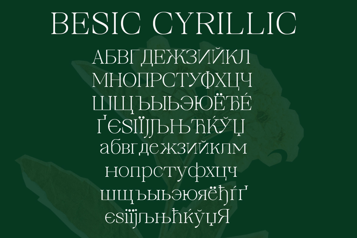 Cardinal Flower, a Serif Font by Typehill (Photo 15 of 15)