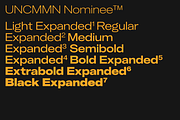 Uncmmn Nominee Sans Serif 21 Style, a Font by Kotivoro (Thumbnail 17 of 30)