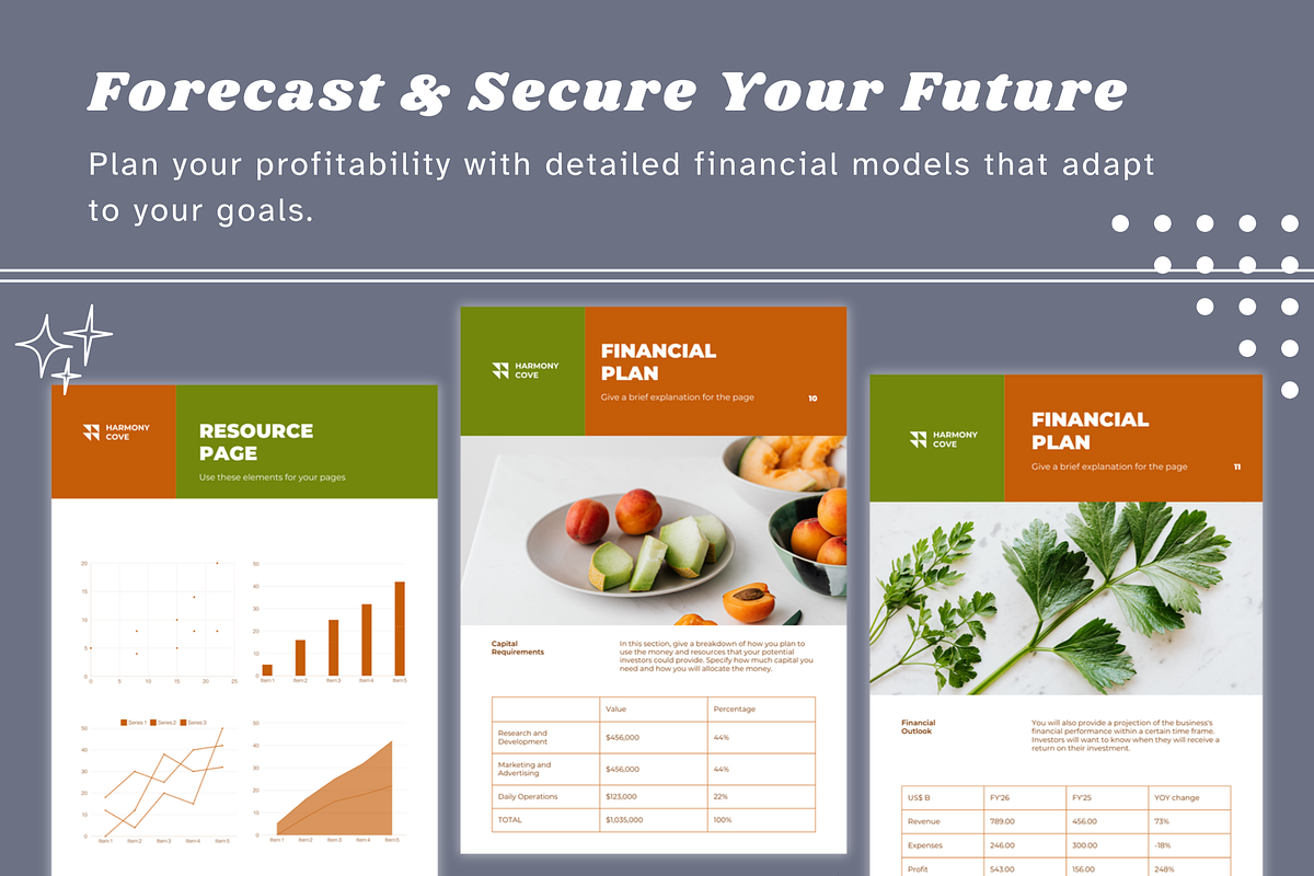 Restaurant Business Plan Template, a Flyer Template by Climbwithelevator (Photo 5 of 10)