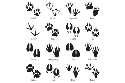 Animals footprints black silhouettes, an Animal Illustration by YummyBuum