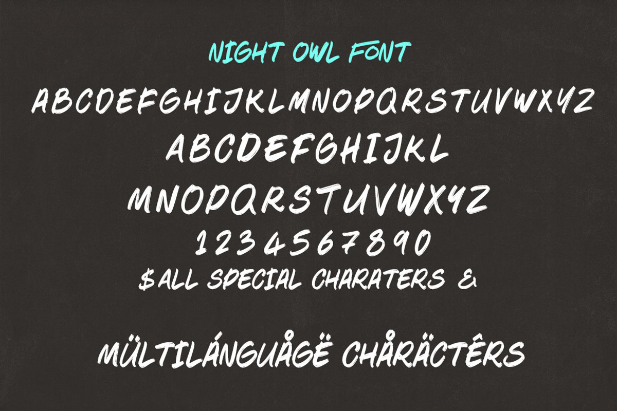 Night Owl Brush Font, a Handwritten Font by Deeezy (Photo 4 of 6)