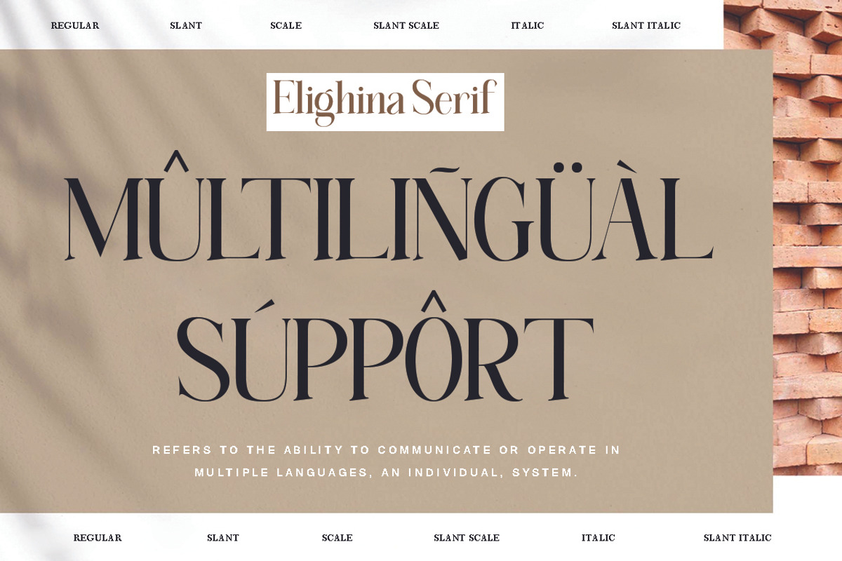 Elighina Serif, a Serif Font by TM Type (Photo 3 of 15)