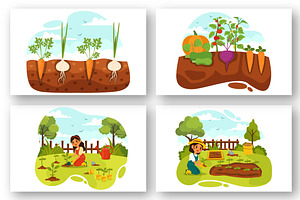 11 Growing Vegetables Illustration