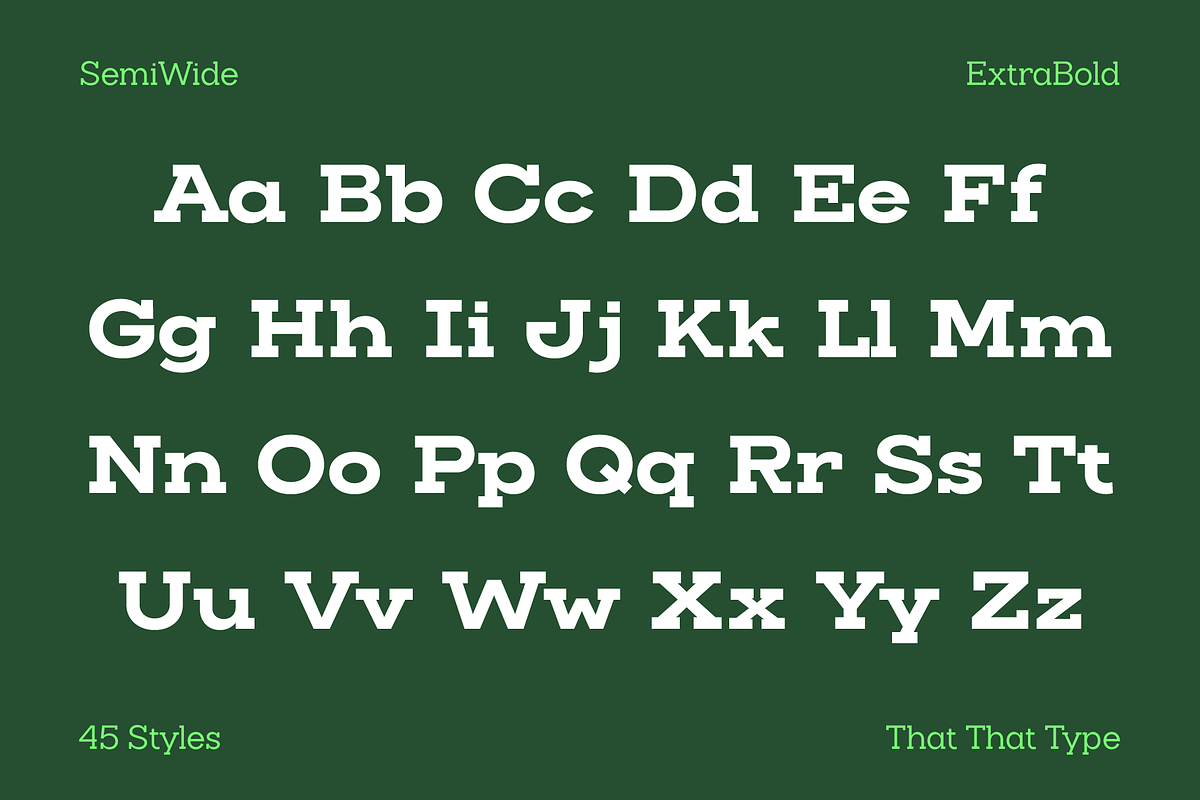 Slaab Font Family 45 Styles, a Slab Serif Font by That That Creative (Photo 5 of 13)