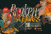 Broken Leaves 200 Transparent Object, an Object Graphic by nicholasasmita (Thumbnail 1 of 15)