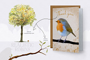 Realistic Robins Illustrations Set, an Illustration by White Lane Studio (Thumbnail 8 of 8)