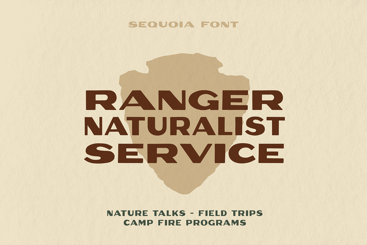 Sequoia Display, a Font by Rachel Kick (Photo 3 of 5)