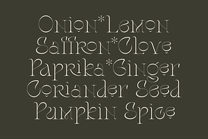 Stager - Unique Classy Serif