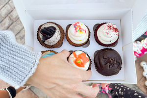 Assorted Cupcake Box with Carrot, Red Velvet and Chocolate Cupcakes, a Food & Drink Photo by etorres69