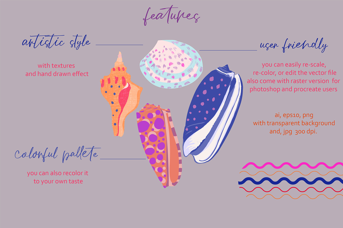 seashells collection, a Texture Illustration by Mona Ahmed (Photo 7 of 10)