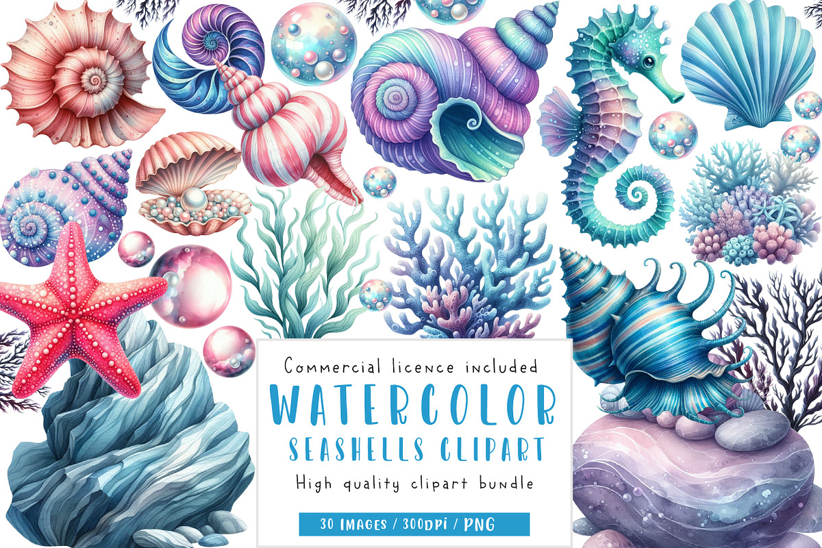 Watercolor seashells clipart, an Illustration by CreationArt (Photo 1 of 5)