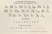 Holiday, a Handwritten Font by FreshTypeINK (Thumbnail 7 of 8)
