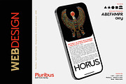 Pluribus - Serif font family, a Serif Font by Artistic & Unique (Thumbnail 14 of 15)