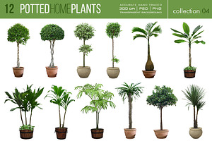 12 Potted Home Plants vol.4