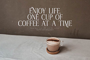 Owerstinn Modern Display Typeface, a Serif Font by Storytype Studio (Thumbnail 6 of 15)