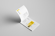 Brand Manual Bundle - 116 Page - 50%, a Brochure Template by Mastergfx (Thumbnail 72 of 84)