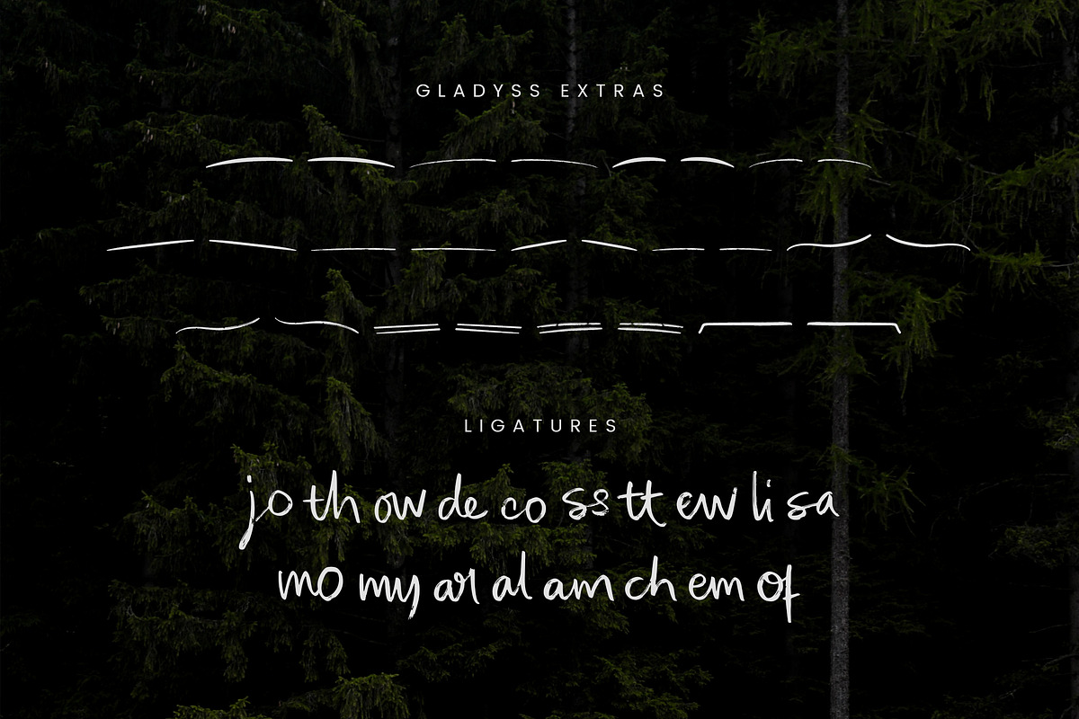 Gladyss Brushed Handwritten Font, a Handwritten Font by peterdraw (Photo 8 of 8)