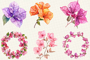 Bougainvillea Flower Clipart, an Illustration by OK Design (Thumbnail 3 of 5)