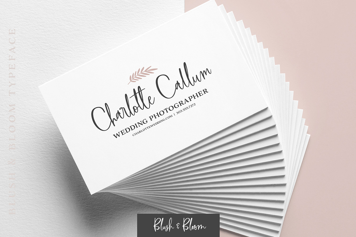 Blush & Bloom Signature Type, a Script Font by Callie Rian & Co. (Photo 15 of 19)